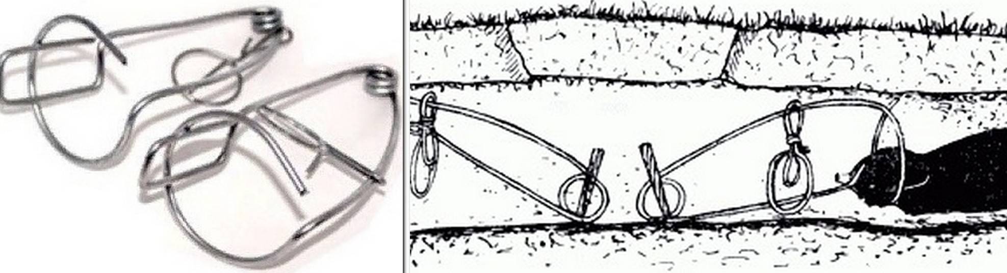 Силки тг. Капкан для крота слепыша. Чертеж кротоловки. Проволочный капкан. Ловушки из проволоки.