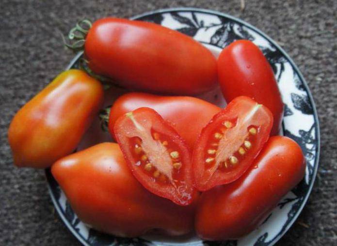 Как посадить и вырастить томат дамские пальчики - всё о землеводстве