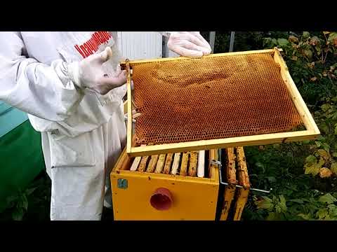 Подготовка пчел к зиме: кормовые запасы, сборка гнезда, утепление, зимовка на улице и основные ошибки - видео