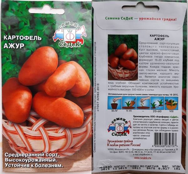 Картофель сорта ажур: ботаническое описание и характеристика, особенности выращивания и ухода, фото