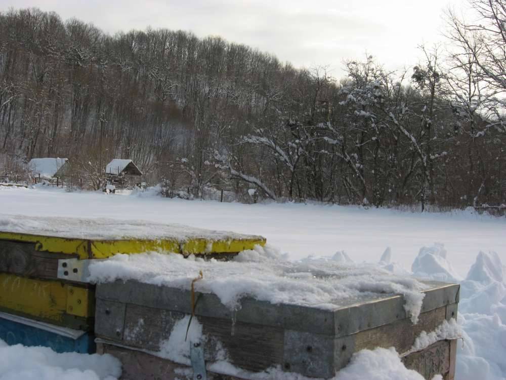 Зимние работы на пасеке помесячно и подготовка к зимовке (видео)