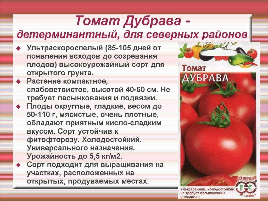 Описание лучших сортов кистевых томатов и правила выращивания